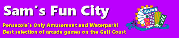 Sam's Fun City image